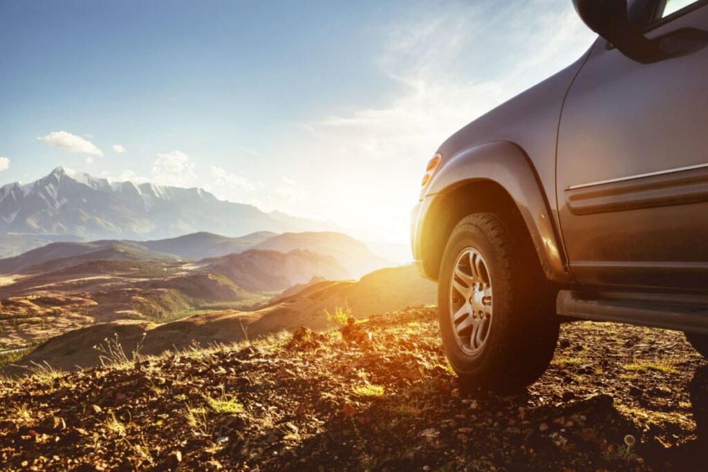 Suv gri la asfintit